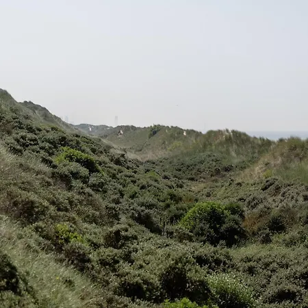 In With Sea Views *